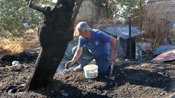 fotia_plomari_lesvos