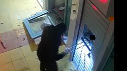 Συνελήφθη αρχηγικό μέλος εγκληματικής οργάνωσης που διέπραττε κλοπές οχημάτων
