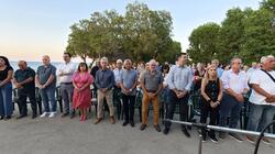 Μνημείο εκτελεσθέντων, Ταυρωνίτης