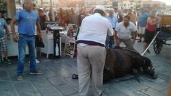 Χανιά άλογο λιμάνι