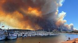 Πορτογαλία: Υπό έλεγχο η μεγάλη πυρκαγιά στο βόρειο τμήμα της χώρας