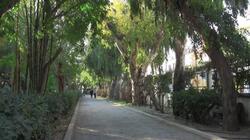 Ρέθυμνο: Πρασίνισαν... κήπους και μπαλκόνια και βραβεύονται!