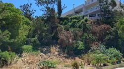 αγια αικατερίνη ξερά χόρτα
