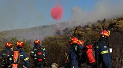 Φωτιά στην Οινόη Αττικής: 155 πυροσβέστες και 22 εναέρια μέσα στη μάχη - Ήχησε το 112, σε ισχύ κυκλοφοριακές ρυθμίσεις