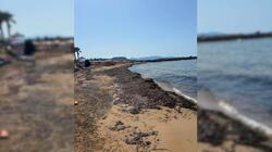 Παραλία, Κοκκίνη Χάνι, Φύκια