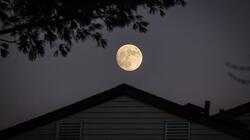 full moon