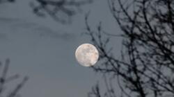 fullmoon