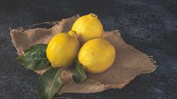 lemons