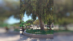 plateia_kladema