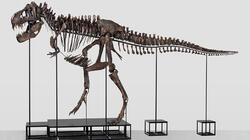 t rex