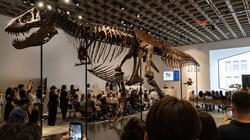 t_rex