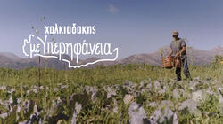 χαλκιαδάκης