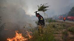 Δραματικές ώρες στη Σίβηρη Χαλκιδικής: Σπίτια στις φλόγες και εκκενώσεις μέσω θαλάσσης