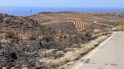 fotia_siteia_atherinolakkos