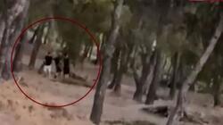 Challenge ανηλίκων μέσα σε δάσος στη λεωφόρο Πεντέλης - Βάζουν φωτιά και μετά προσπαθούν να τη σβήσουν