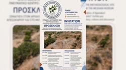 Απεσωκάρι, Ξενάγηση