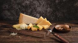 cheese tyri magnific