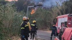 Διαβάστε περισσότερες ειδήσεις από την Κρήτη και το Ρέθυμνο 