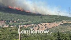 Συναγερμός στην Λαμία για μεγάλη πυρκαγιά δίπλα στην Καμηλόβρυση