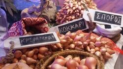 γιορτή κρεμυδιού