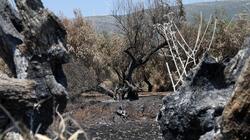 καμένη έκταση