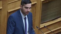 Κωνσταντίνος Κεφαλογιάννης, Βουλή