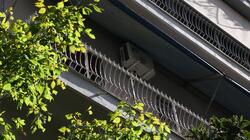 Κυψέλη: Τυλιγμένο μέσα σε ισοθερμικό σάκο βρέθηκε το κατακρεουργημένο βρέφος