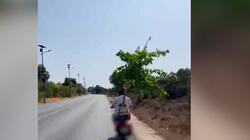 mixani_dentro