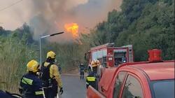 Ρέθυμνο - Φωτιά στα Σελλιά: Στην πρώτη γραμμή οι εθελοντές! (ΦΩΤΟ)