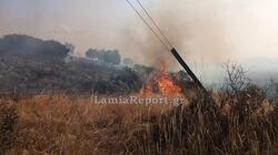 Συναγερμός για πυρκαγιά στο Βαθύκοιλο Φθιώτιδας - Σηκώθηκαν και τα δύο αεροσκάφη από Λαμία