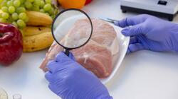 salmonela