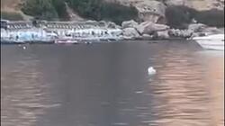 Λουτρό, Σταρ