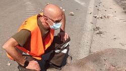 ΔΙΚΕΠΑΖ: Επιχειρήσεις διάσωσης αδέσποτων ζώων από την πύρινη λαίλαπα στη Δ. Αττική