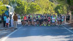 Festos Run