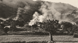 kallikratis_sfakia