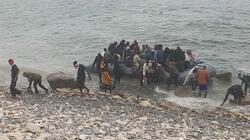 metanastes_ierapetra