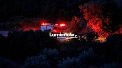 pirosvestiki_lamia