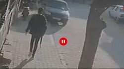 tourkia_pyr