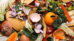 Food Waste