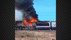 fotia_treno_ispania