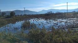 oropedio