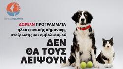 Χανιά: Δράση κτηνιατρικής φροντίδας δεσποζόμενων ζώων στον Δήμο Κισσάμου