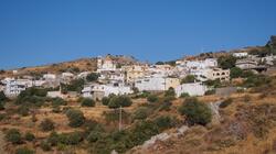 saktoyria 