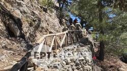 σαμαριά-εργαζόμενοι-2