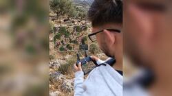 drones κοπάδια