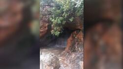 Χώνος, Σπήλαιο Σάρχου
