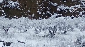 Αίσιο τέλος για τον κτηνοτρόφο που αγνοείτο