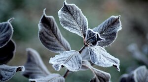 Στους -10 βαθμούς η θερμοκρασία το πρωί στη Βόρεια Ελλάδα