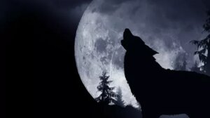 Έρχεται η Πανσέληνος του Λύκου: Τα 4 ζώδια που θα επηρεάσει σημαντικά