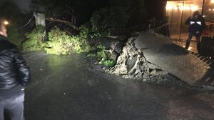 Προβλήματα από την κακοκαιρία: Δέντρο ξεριζώθηκε στους Αθανάτους